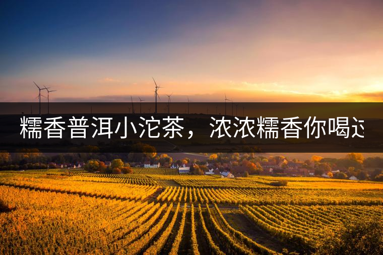 糯香普洱小沱茶，濃濃糯香你喝過嗎？