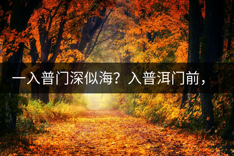 一入普門深似海？入普洱門前，你需要了解這些