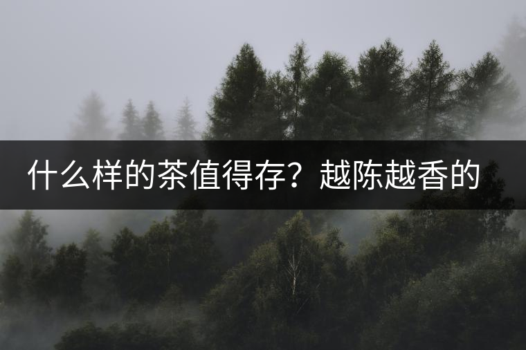 什么樣的茶值得存？越陳越香的本質(zhì)是什么？