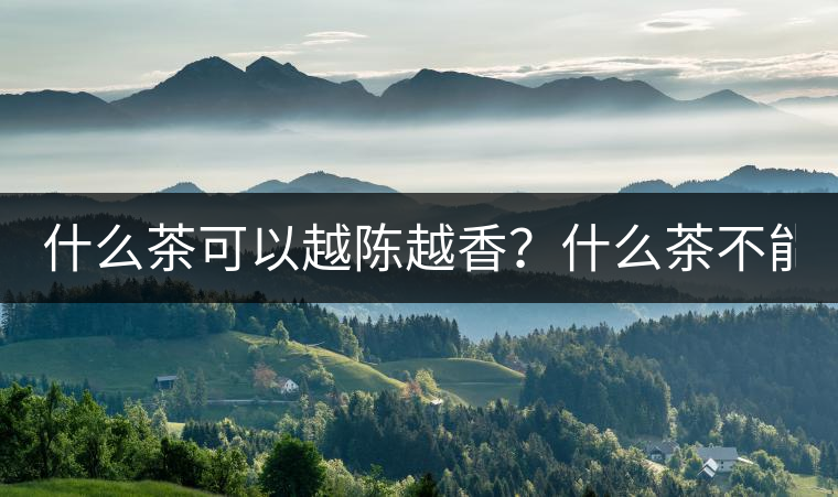 什么茶可以越陳越香？什么茶不能？