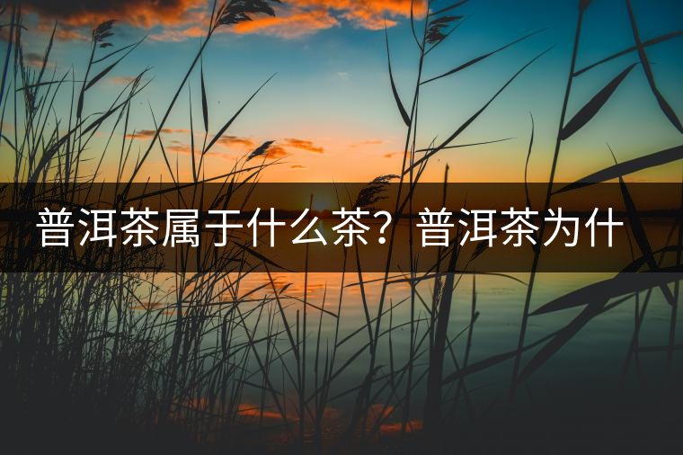 普洱茶屬于什么茶？普洱茶為什么會(huì)越陳越香？
