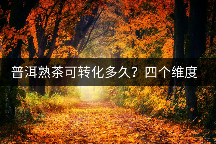 普洱熟茶可轉化多久？四個維度、四個時間段，演繹熟普