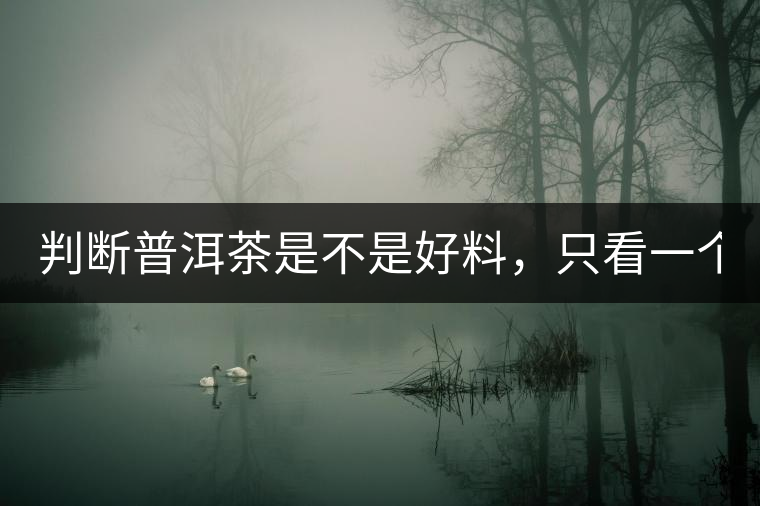 判斷普洱茶是不是好料，只看一個地方！