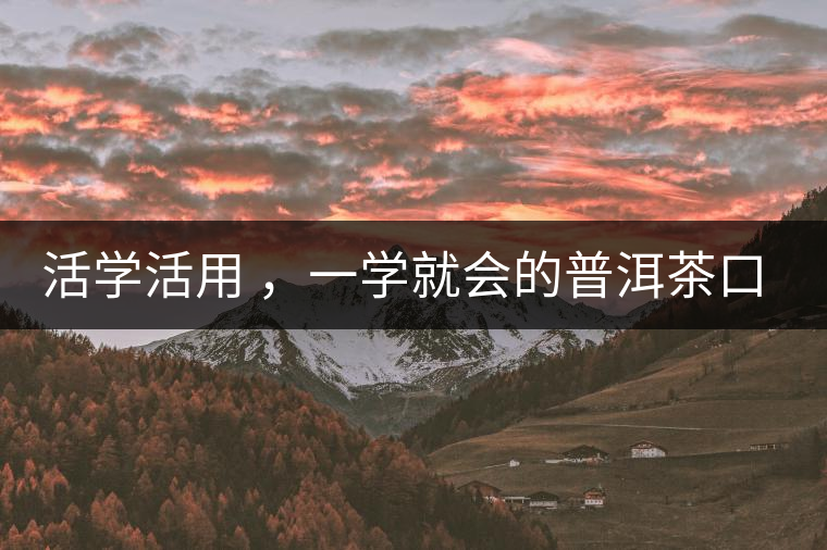 活學活用 ，一學就會的普洱茶口感術語
