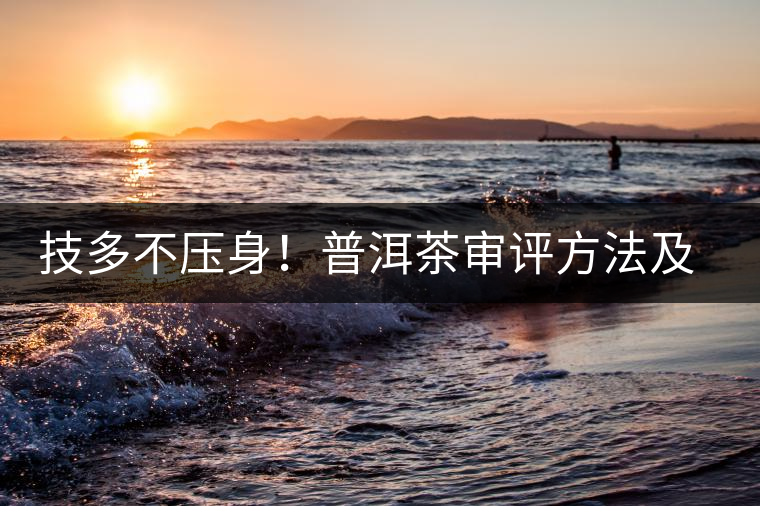 技多不壓身！普洱茶審評(píng)方法及專業(yè)術(shù)語(yǔ)大全（下）