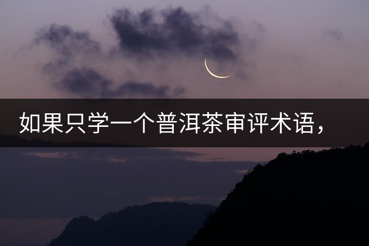 如果只學(xué)一個(gè)普洱茶審評術(shù)語，那應(yīng)該是什么？