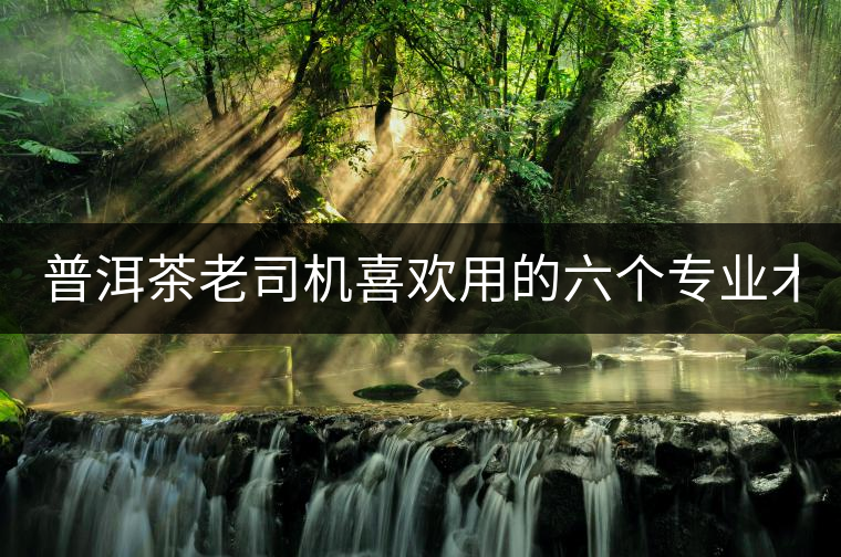 普洱茶老司機(jī)喜歡用的六個(gè)專業(yè)術(shù)語！
