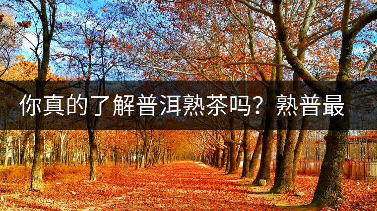 你真的了解普洱熟茶嗎？熟普最詳細的揭秘都在這里了。