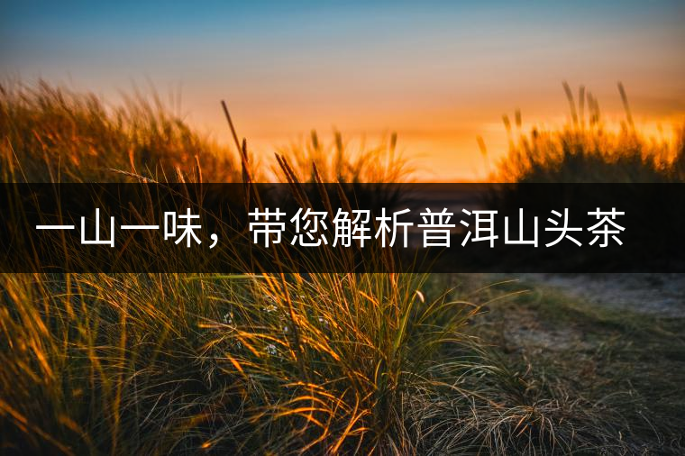 一山一味，帶您解析普洱山頭茶的密碼究竟是什么？