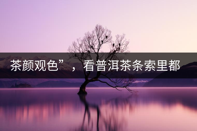 茶顏觀色”，看普洱茶條索里都蘊含著怎樣的“密碼”？