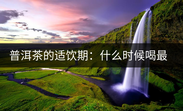 普洱茶的適飲期：什么時候喝最好？生茶和熟茶各有講究！
