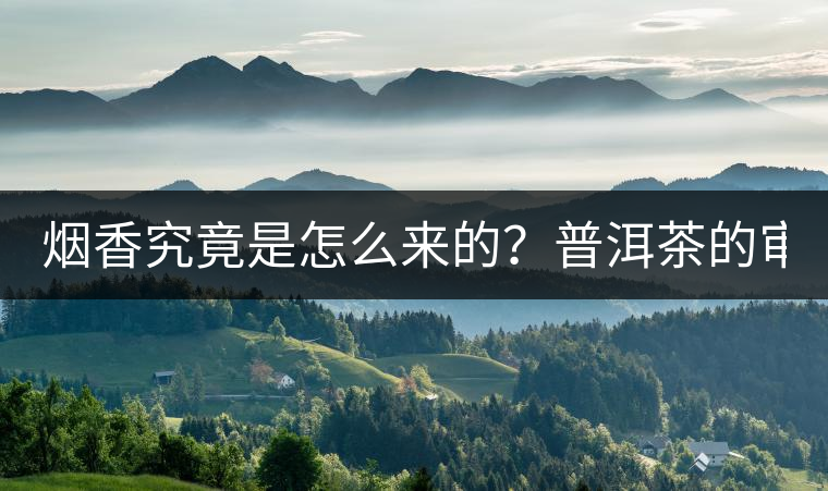 煙香究竟是怎么來(lái)的？普洱茶的審美困局。
