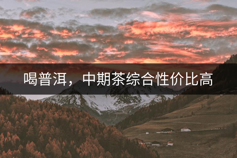 喝普洱，中期茶綜合性價(jià)比高