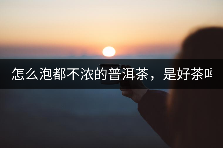 怎么泡都不濃的普洱茶，是好茶嗎？