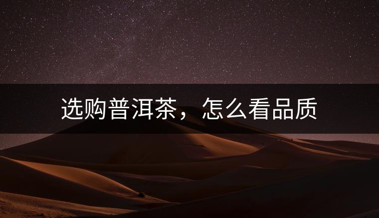 選購普洱茶，怎么看品質(zhì)