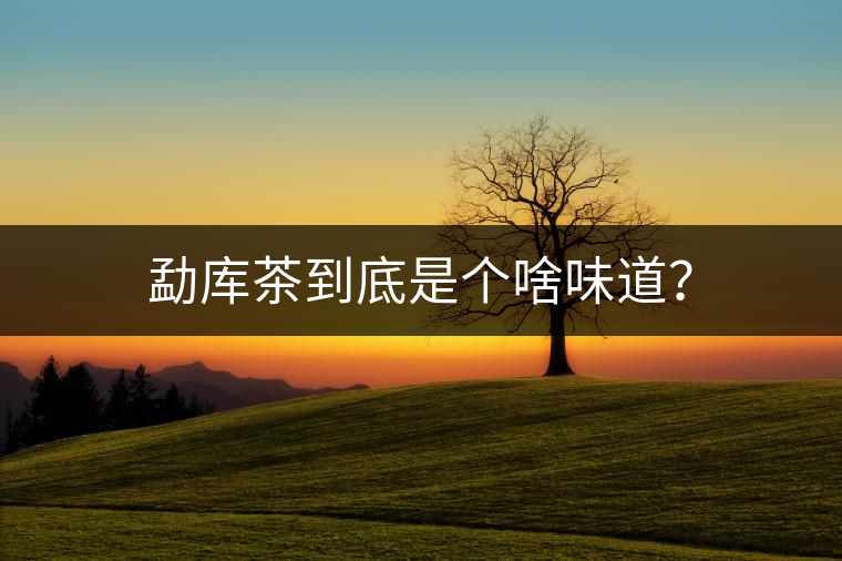 勐庫茶到底是個啥味道？