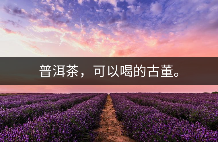 普洱茶，可以喝的古董。