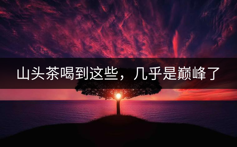山頭茶喝到這些，幾乎是巔峰了