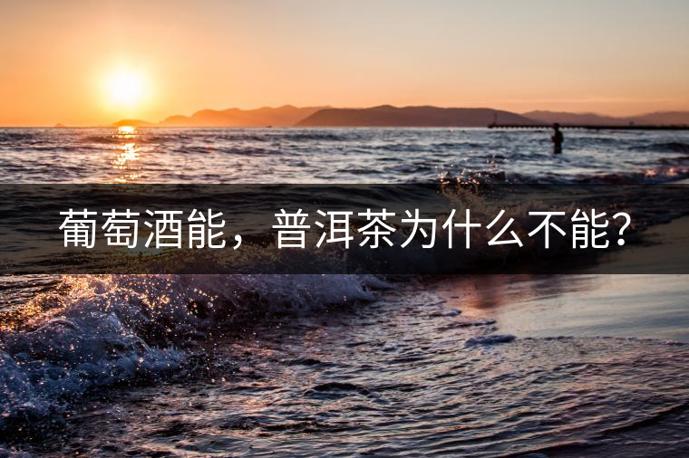 葡萄酒能，普洱茶為什么不能？