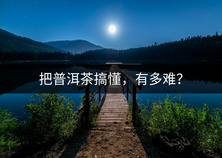 把普洱茶搞懂，有多難？
