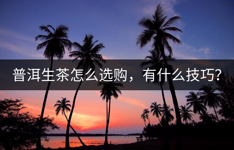 普洱生茶怎么選購(gòu)，有什么技巧？