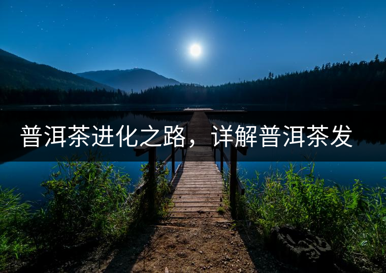 普洱茶進化之路，詳解普洱茶發(fā)展的三大重要階段