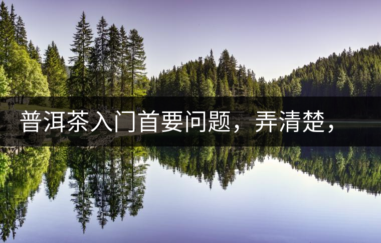 普洱茶入門首要問題，弄清楚，才能喝好茶