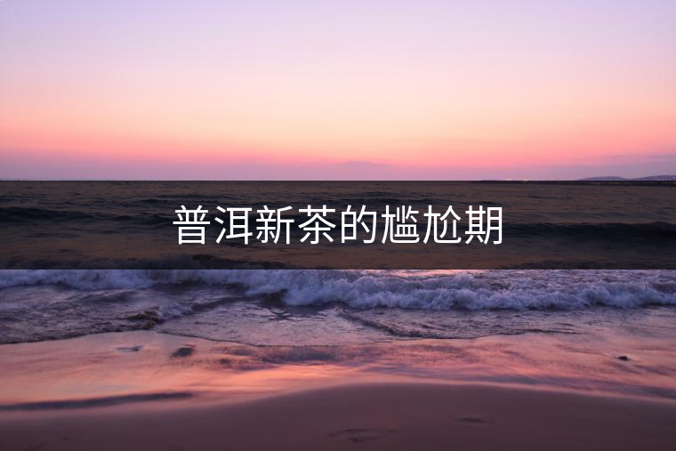 普洱新茶的尷尬期