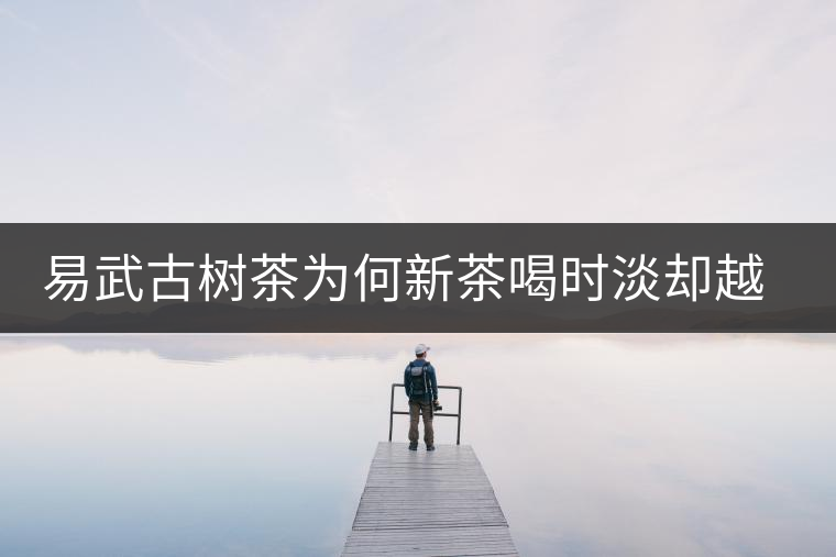 易武古樹茶為何新茶喝時淡卻越放越濃？易武古樹茶有什么投資價值?