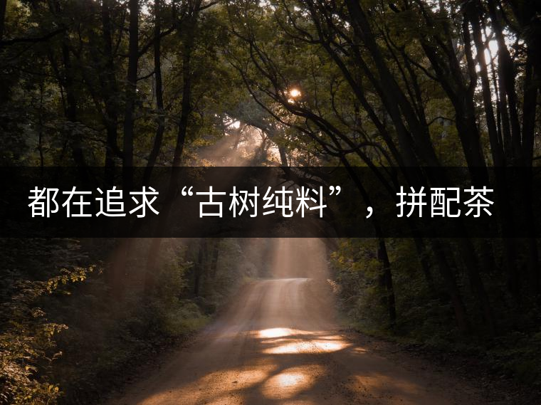 都在追求“古樹純料”，拼配茶真的不如純料的？