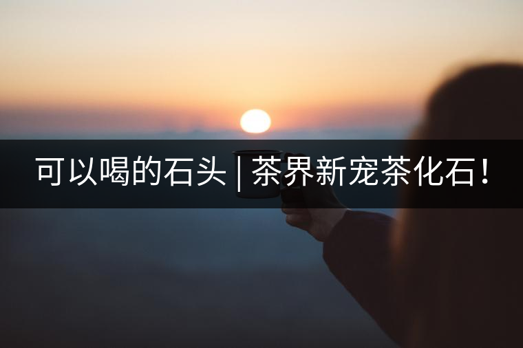 可以喝的石頭 | 茶界新寵茶化石！