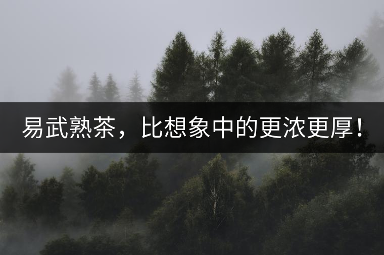 易武熟茶，比想象中的更濃更厚！