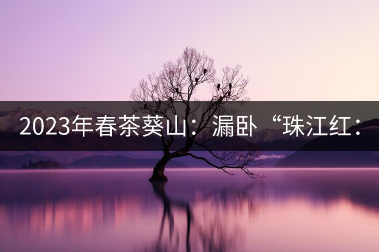 2023年春茶葵山：漏臥“珠江紅：1200元-3200元（有3個(gè)檔次）漏臥“大廠茶”：古樹(shù)單株8600-9000元／公斤，中樹(shù)4800-5200元／公斤，小樹(shù)混采2600-2800元／公斤。