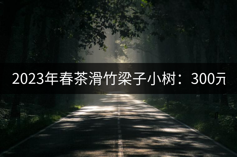 2023年春茶滑竹梁子小樹：300元／公斤 古樹：900-1200元／公斤
