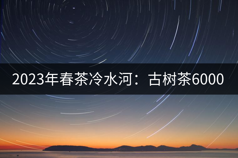2023年春茶冷水河:古樹茶6000-6500元/公斤 2023年春茶冷水河:古樹茶6000-6500元/公斤