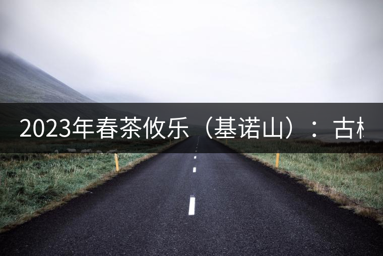 2023年春茶攸樂（基諾山）：古樹1200元／公斤，喬木：400-500元／公斤