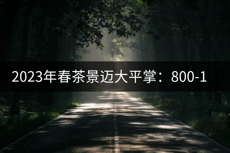2023年春茶景邁大平掌：800-1000元／公斤