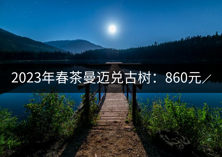 2023年春茶曼邁兌古樹：860元／Kg，小樹：180元／kg