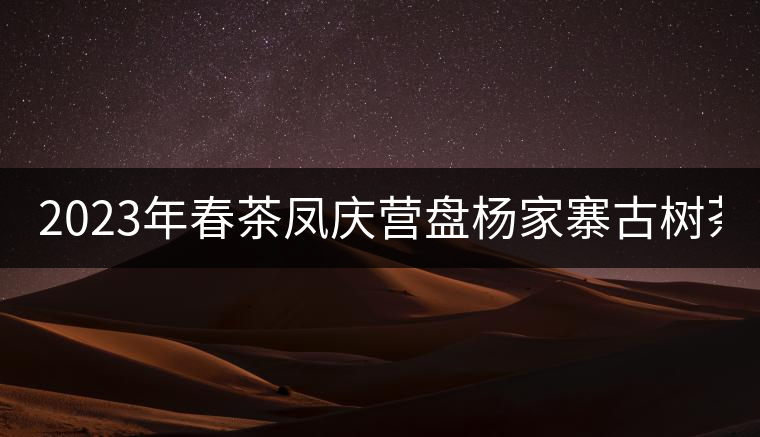 2023年春茶鳳慶營盤楊家寨古樹茶：1500-2500元／公斤
