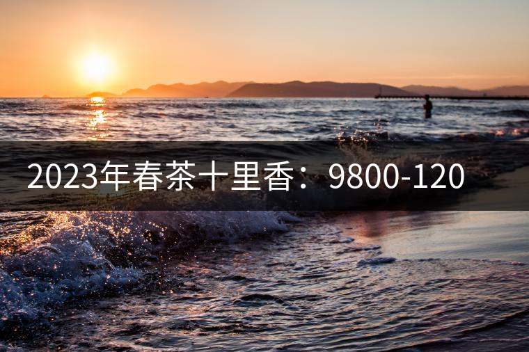 2023年春茶十里香：9800-12000元／公斤，十里香紅茶：9800-12000元／公斤