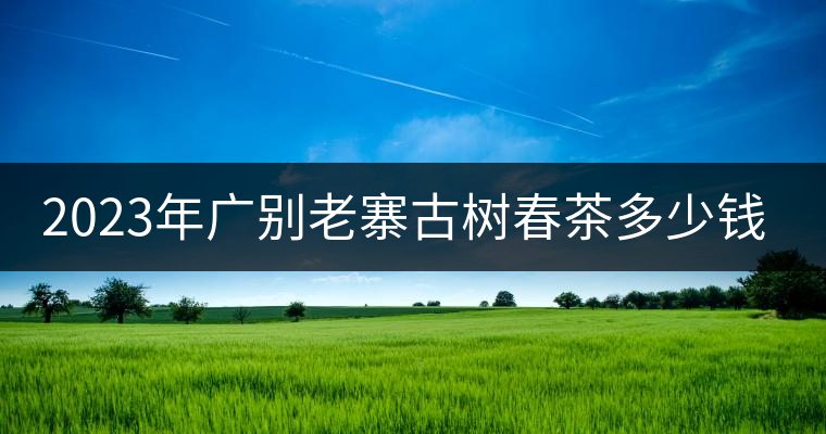 2023年廣別老寨古樹春茶多少錢一公斤？
