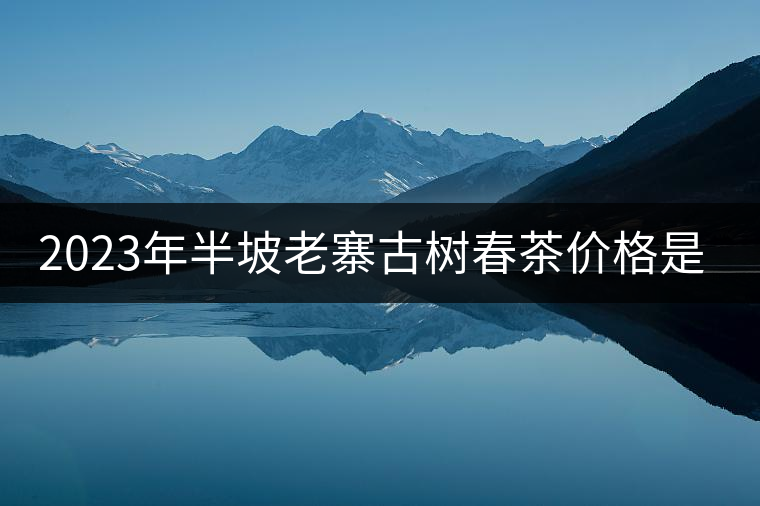 2023年半坡老寨古樹春茶價格是多少？