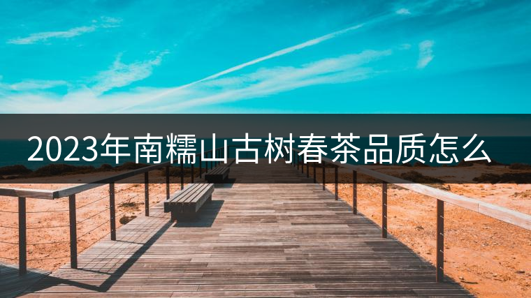 2023年南糯山古樹春茶品質怎么樣？