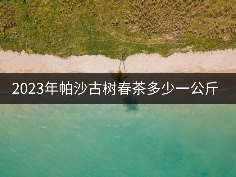 2023年帕沙古樹春茶多少一公斤？