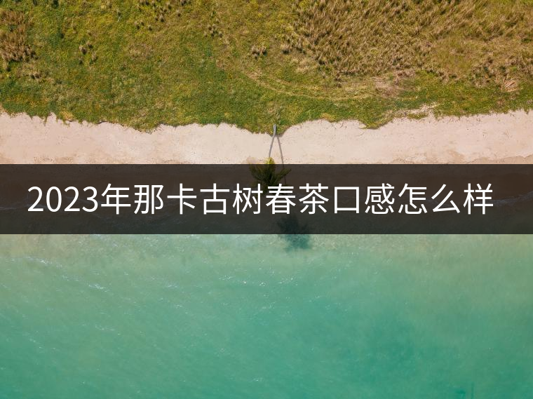 2023年那卡古樹春茶口感怎么樣？