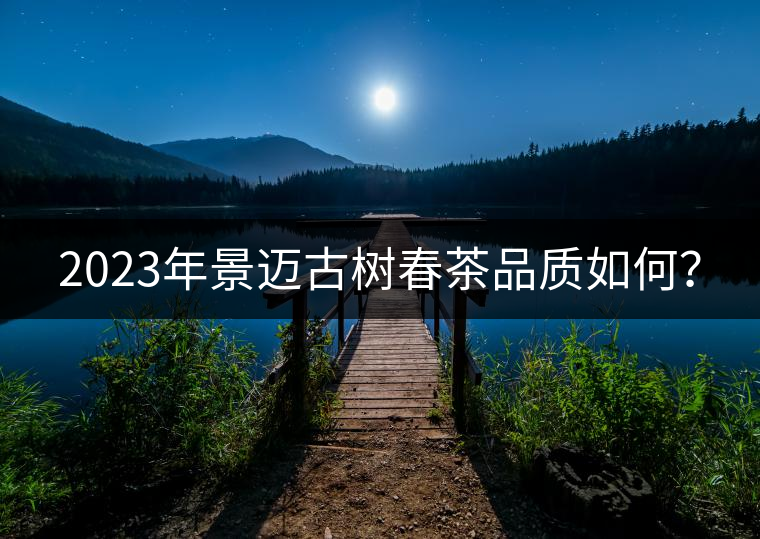 2023年景邁古樹春茶品質(zhì)如何？