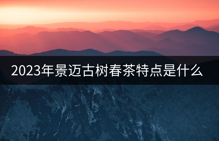 2023年景邁古樹春茶特點(diǎn)是什么？