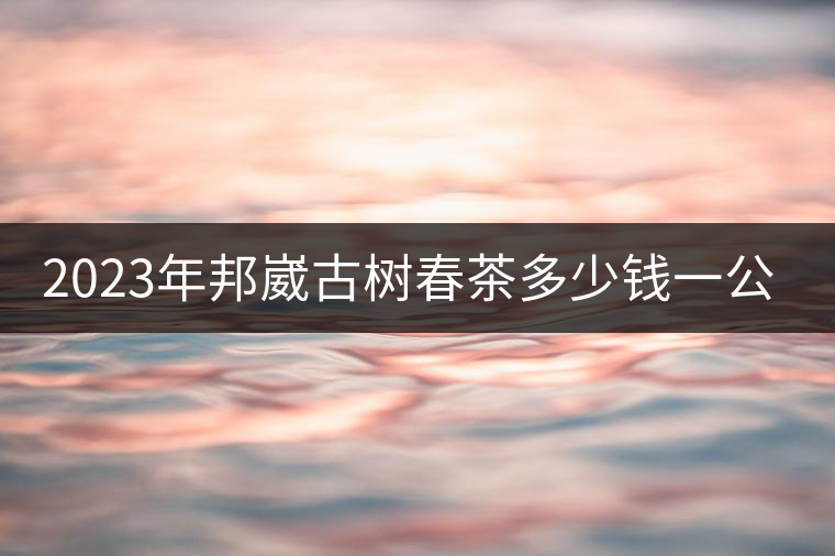 2023年邦崴古樹春茶多少錢一公斤？
