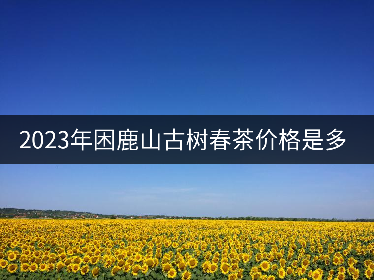 2023年困鹿山古樹春茶價格是多少？