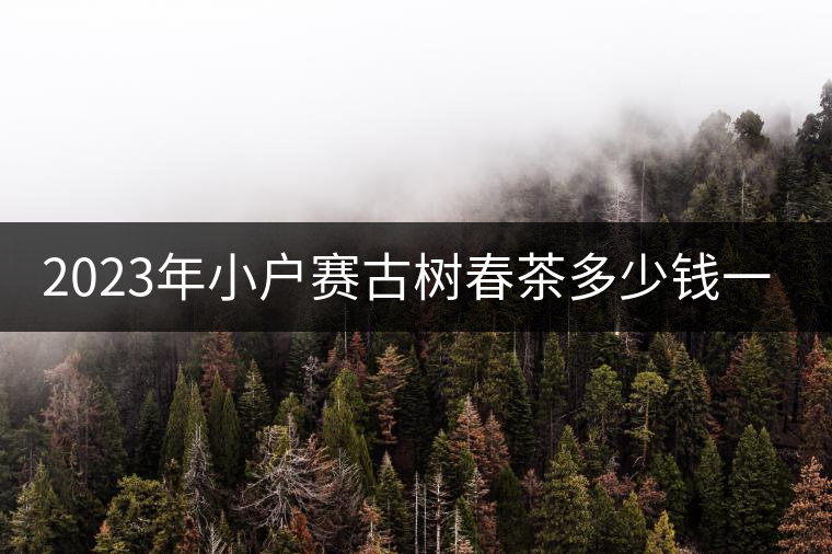 2023年小戶賽古樹春茶多少錢一公斤？